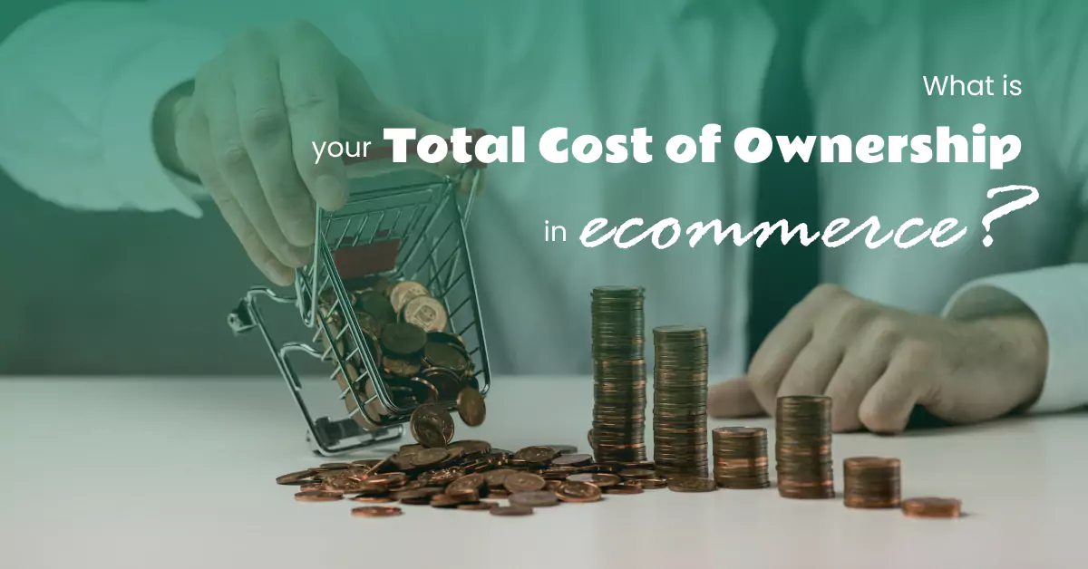 Understanding Total Cost of Ownership (TCO) in ecommerce and its impact