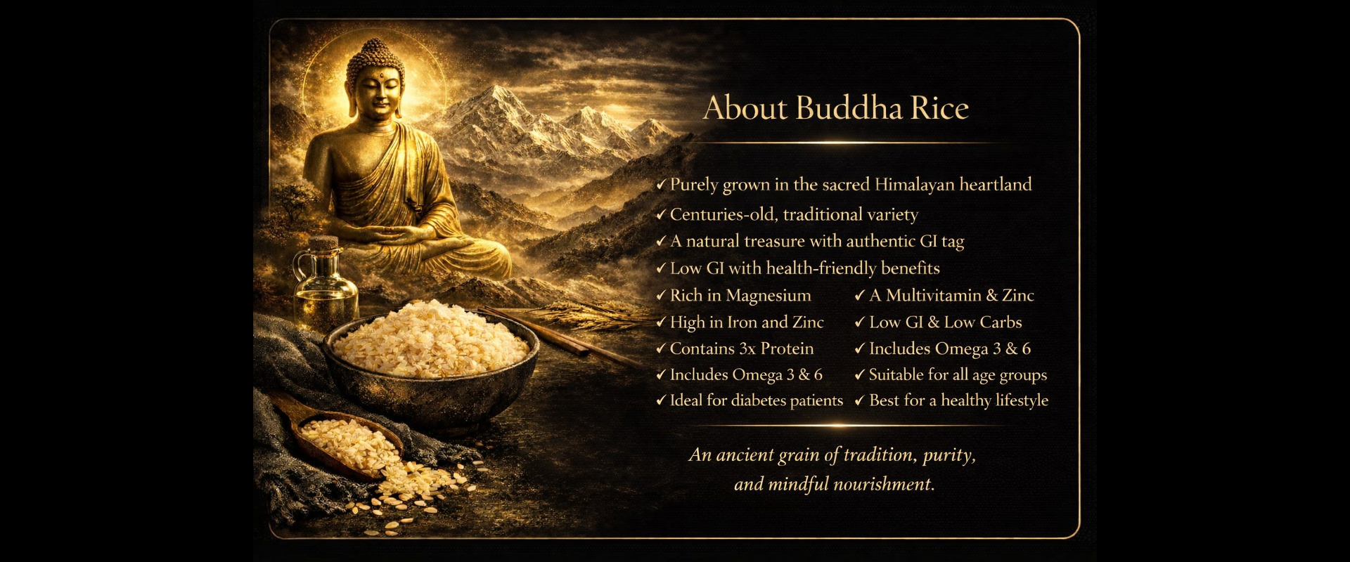 banner 22_imresizer.jpg