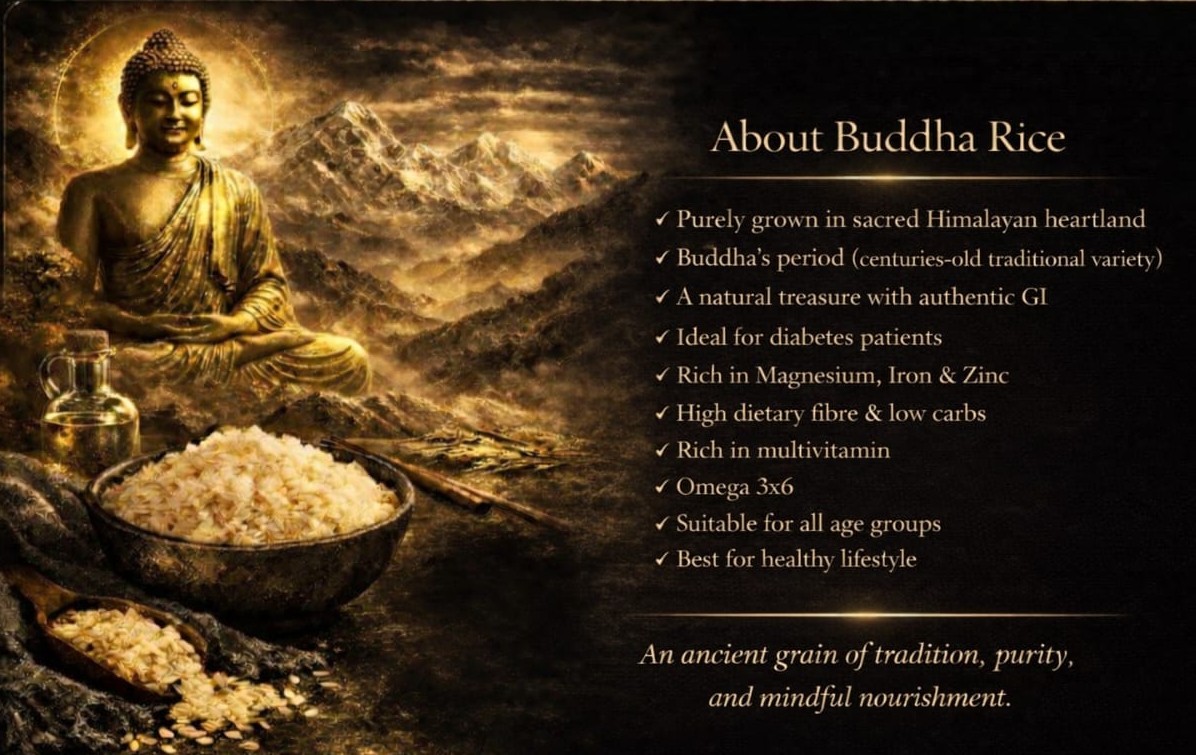 banner for website 22.jpeg